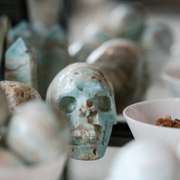 Cravings + Freeforms